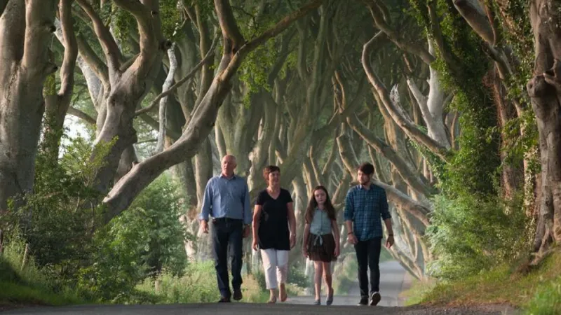 Dark Hedges